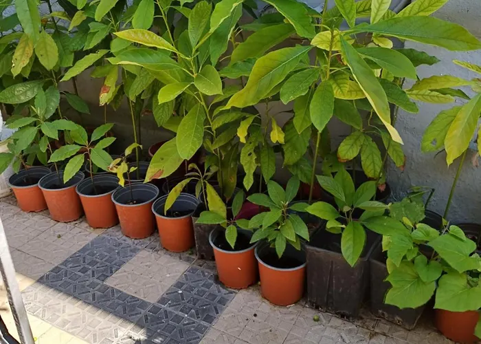 Gæstehus Zeus Rhodes City