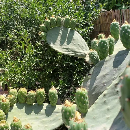 게스트하우스 Zeus