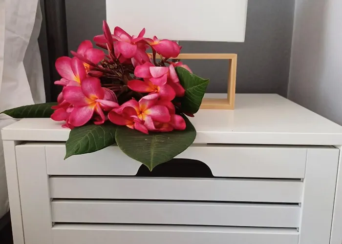 بيت ضيافة Zeus