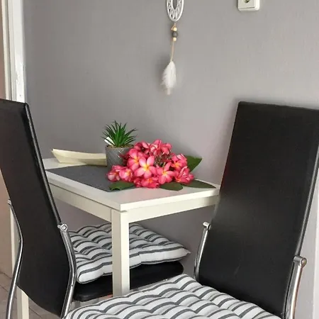 Zeus Guest house *